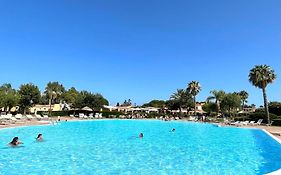 Sardegna Santa Giusta Igv